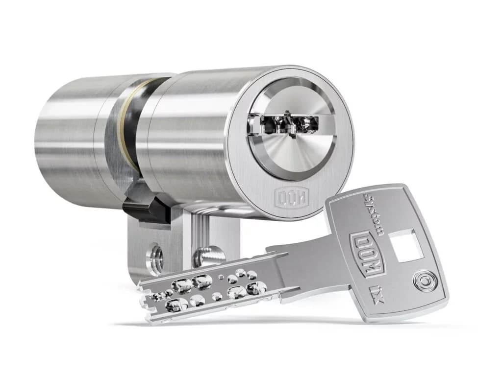 Miniatura 9